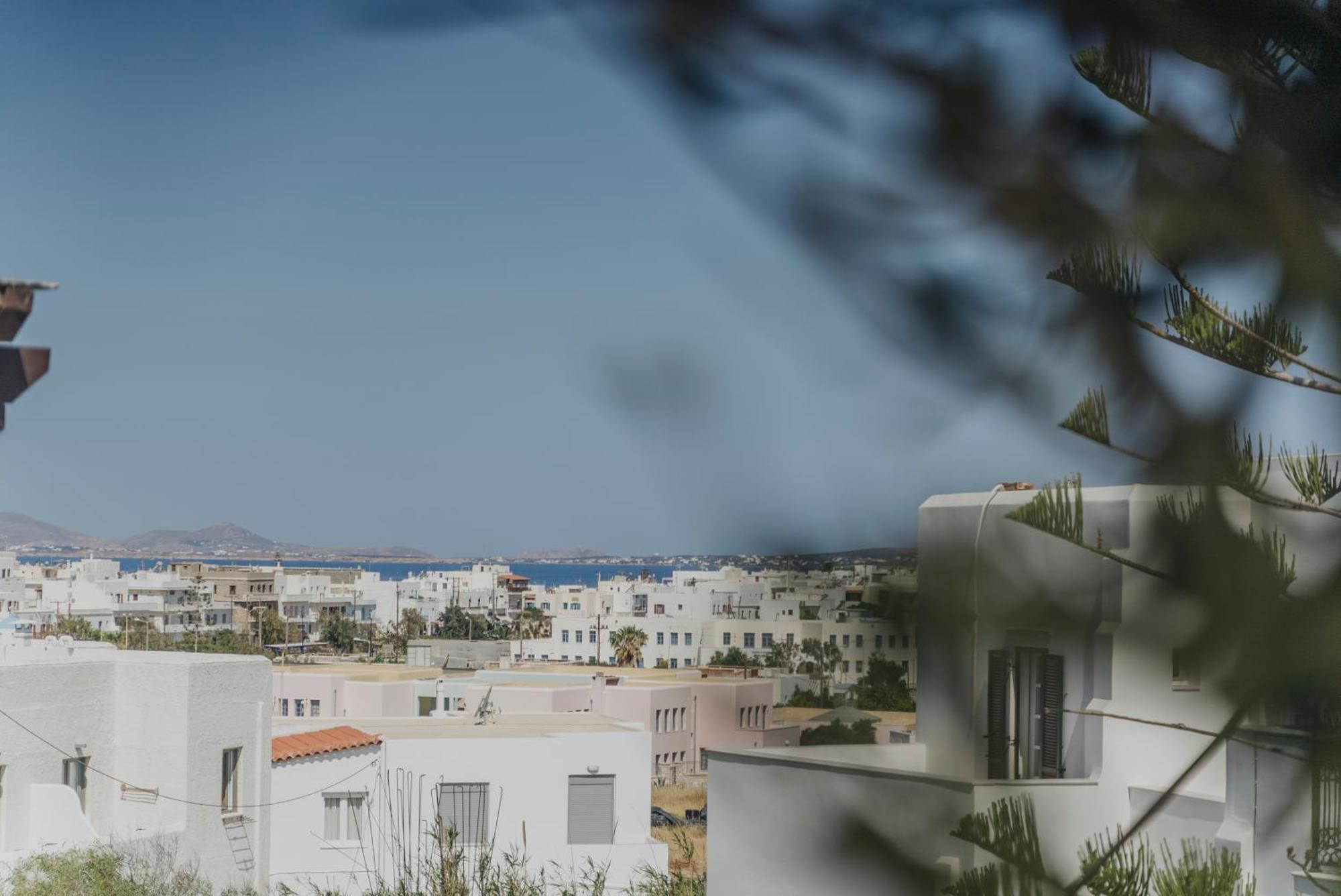Aparthotel Golden Bird'S à Naxos City Extérieur photo