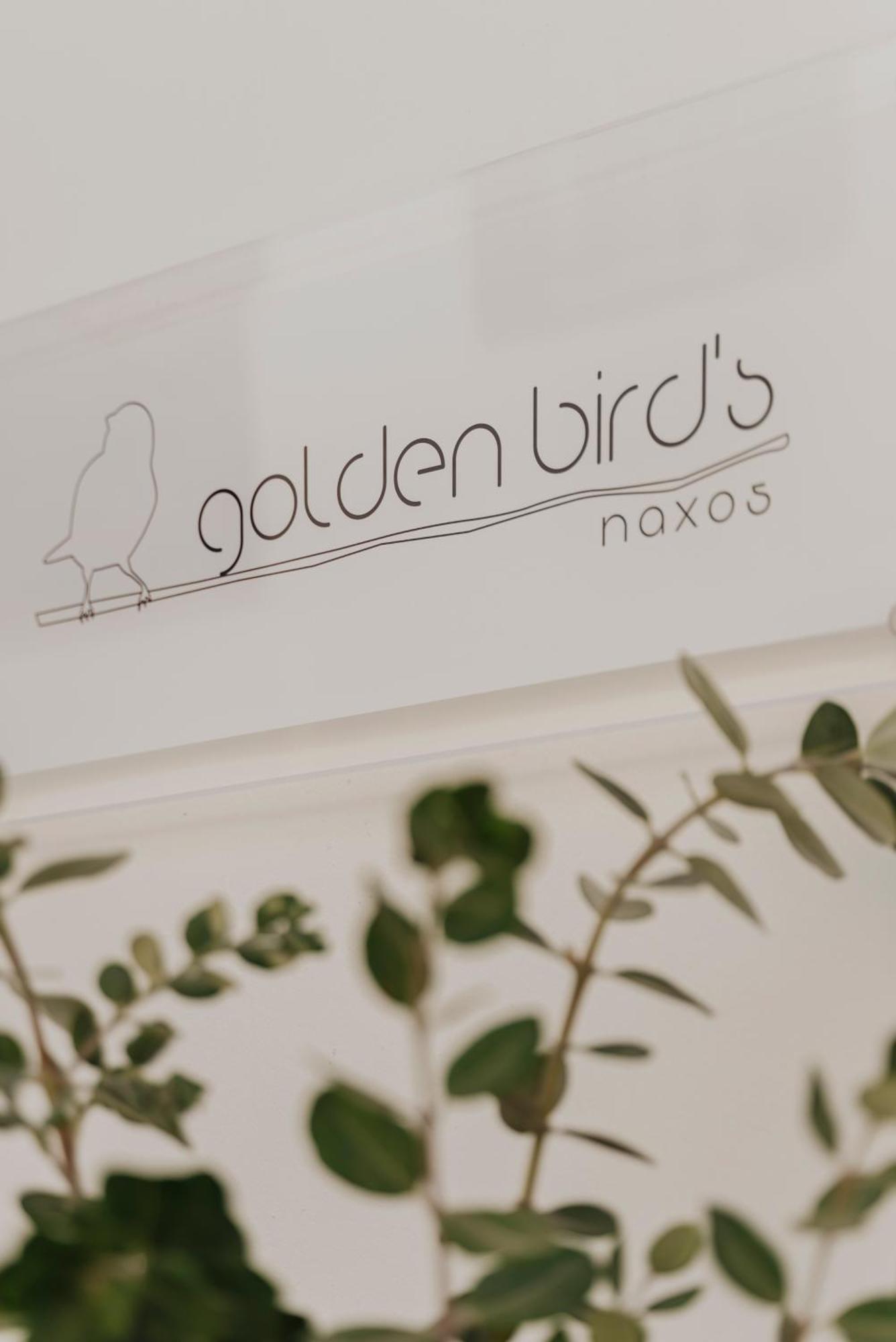 Aparthotel Golden Bird'S à Naxos City Extérieur photo